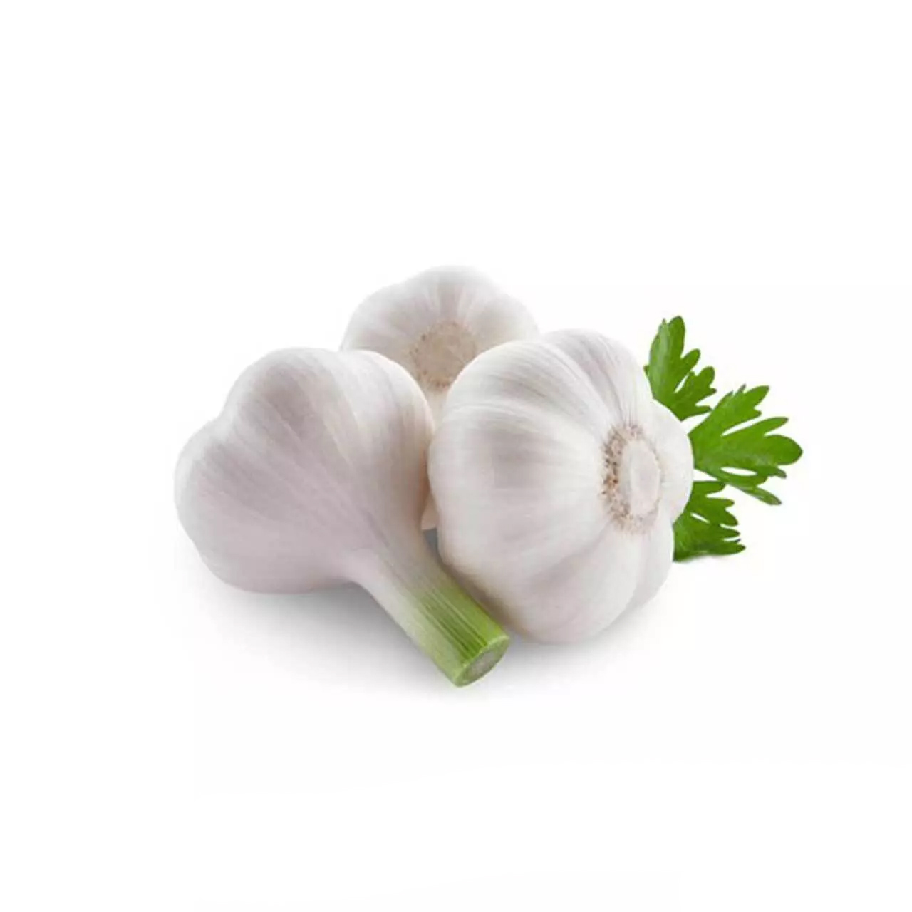 سیر سبز تازه - 500 گرمی