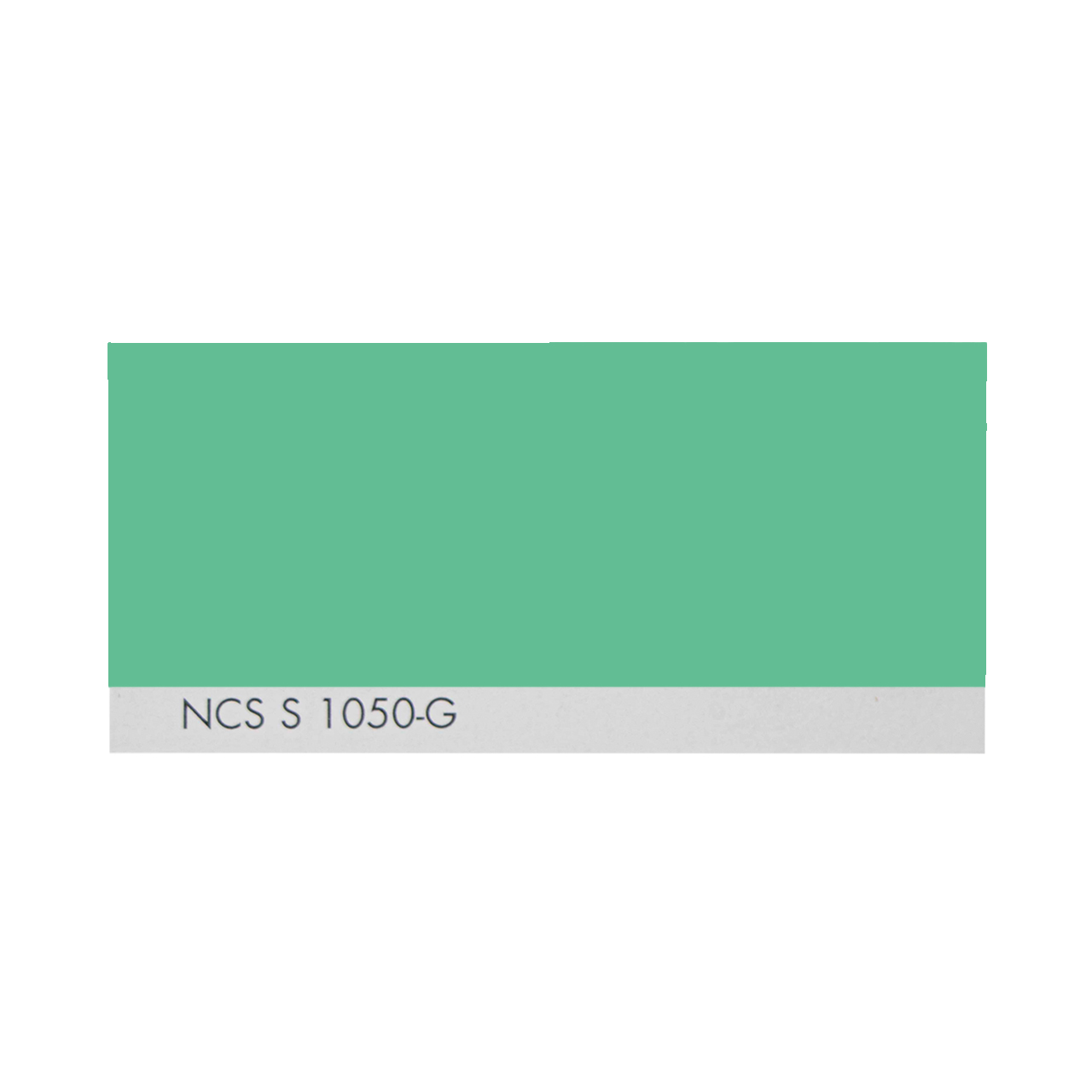 NCS S 1050-G