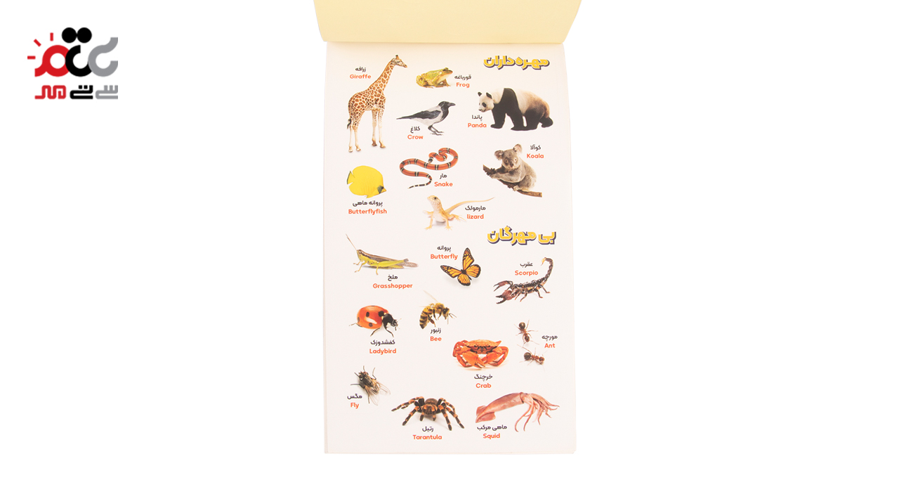 برچسب آموزشی ترنه مدل دفترچه