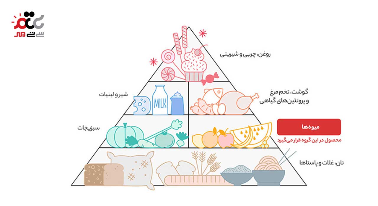 مربا سیب شانا 310 گرمی