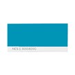 NCS S 3050-B20G
