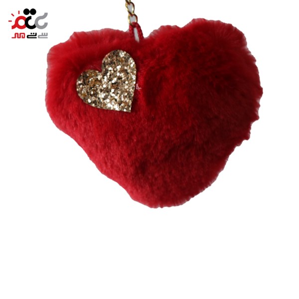 جاسوییچی پولیشی طرح قلب