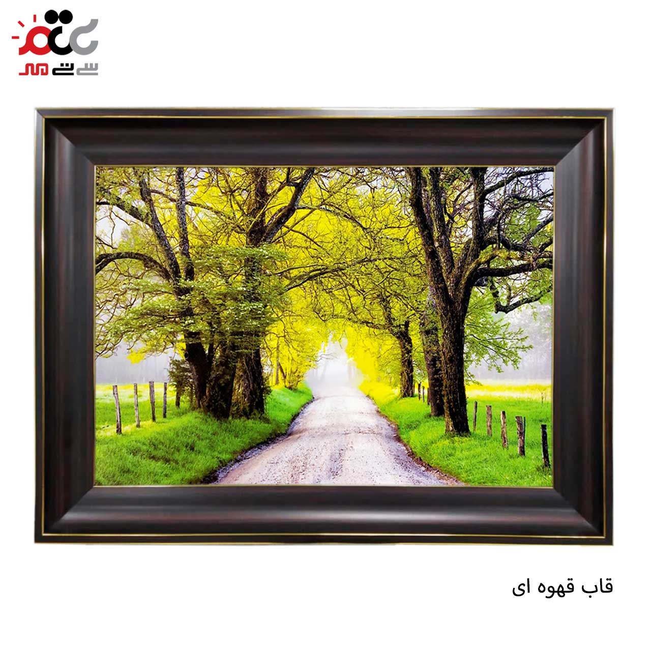 تابلو فرش با زیبا ترین قاب