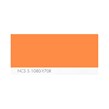 NCS S 1040-Y70R