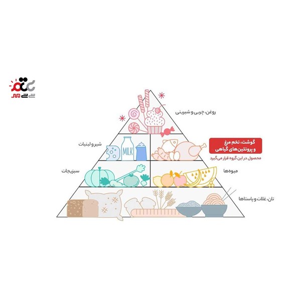 کنسرو لوبیا چیتی با قارچ سمیه 400 گرمی