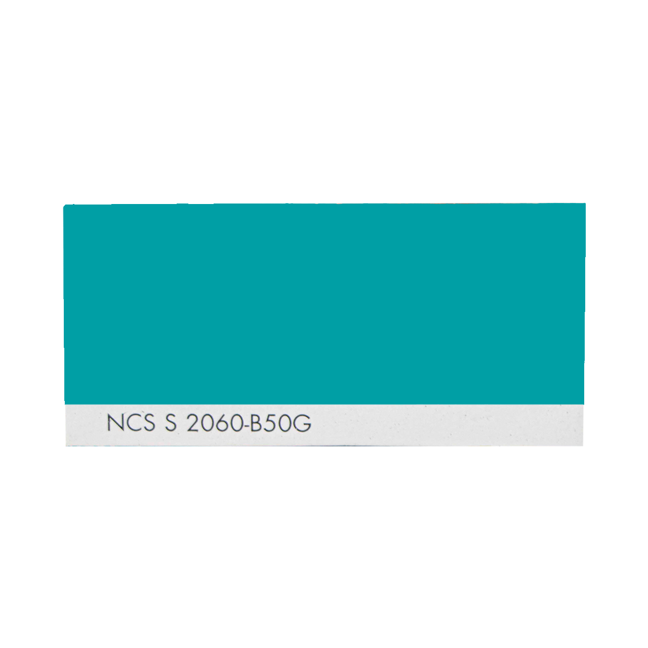 NCS S 2060-B50G