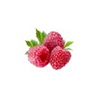 شاتوت قرمز سبدی 1000 گرمی