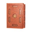 کتاب دیوان حافظ رقعی