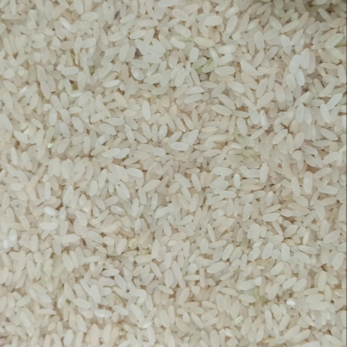 برنج خوشپخت اعلا اعلا فله 1000 گرمی