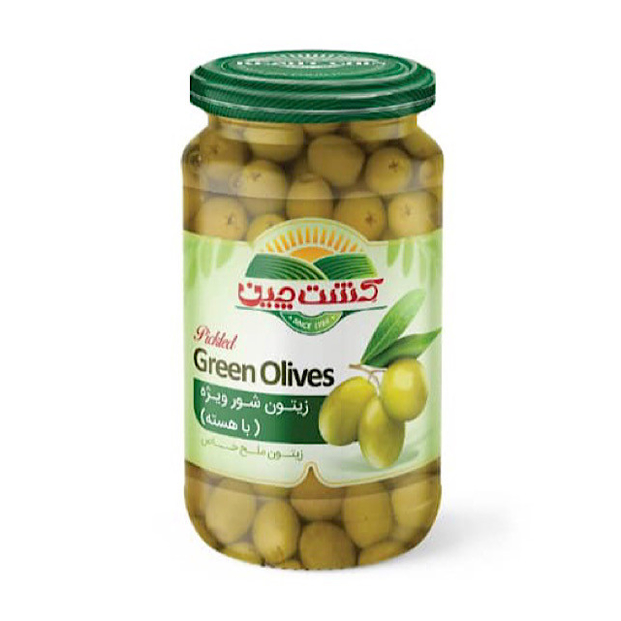 بهترین زیتون شور کشت چین