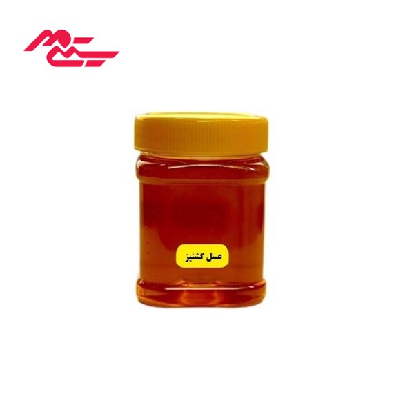عسل گشنیز 500 گرمی