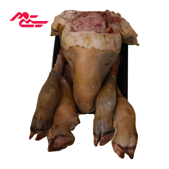 کله پاچه تازه گوسفندی بره نر ممتاز آماده پخت