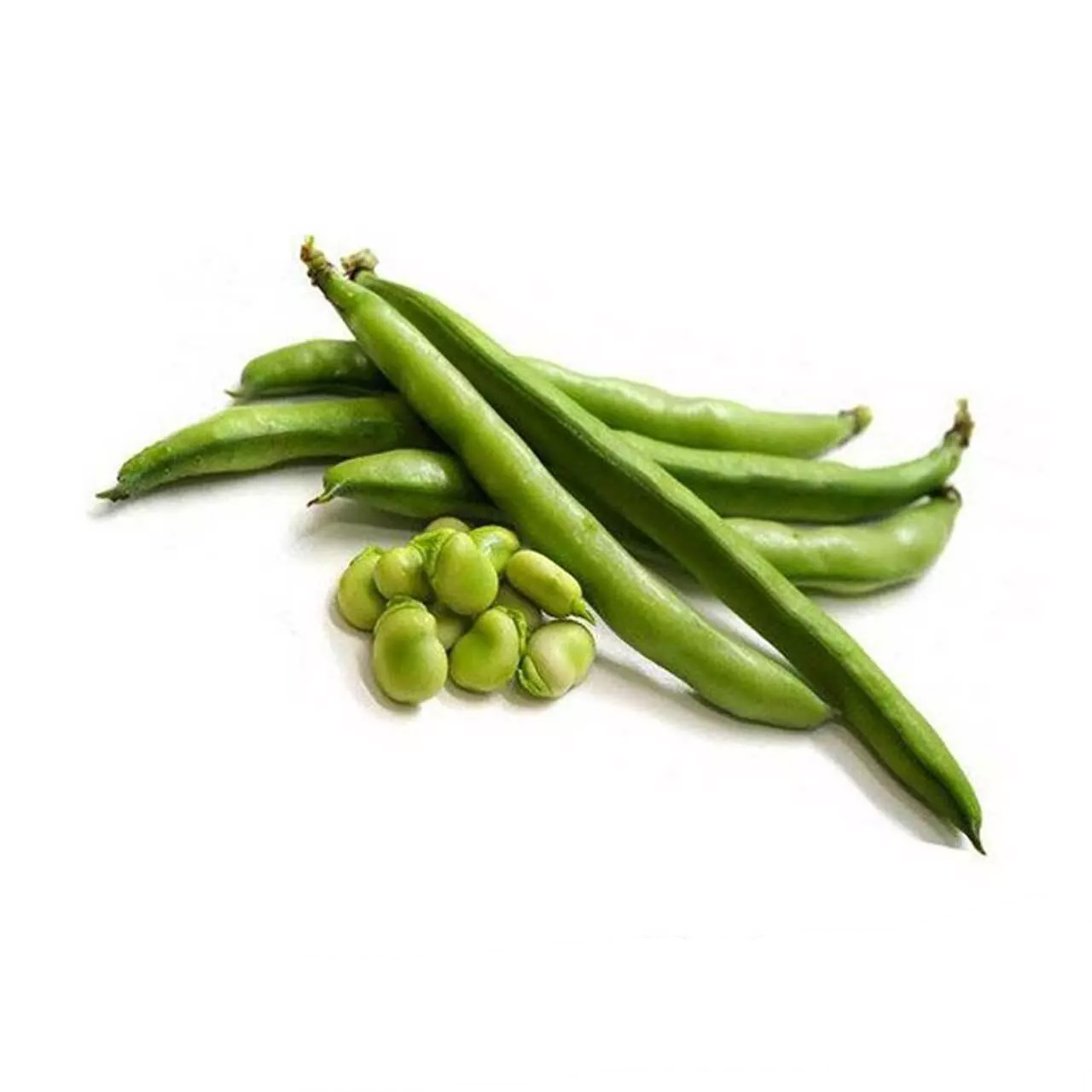 باقلا با پوست درجه یک _ 1 کیلوگرم