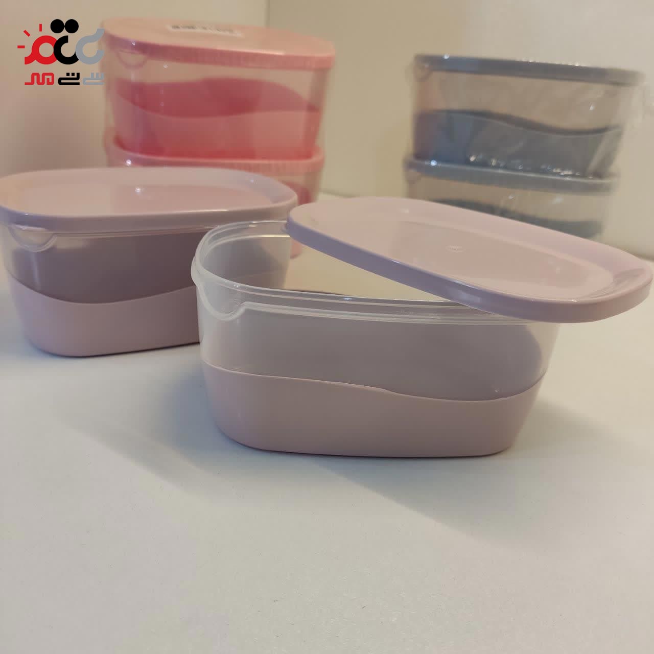 ظرف فریزری اشکان مدل روشا بسته 2 عددی سایز کوچک