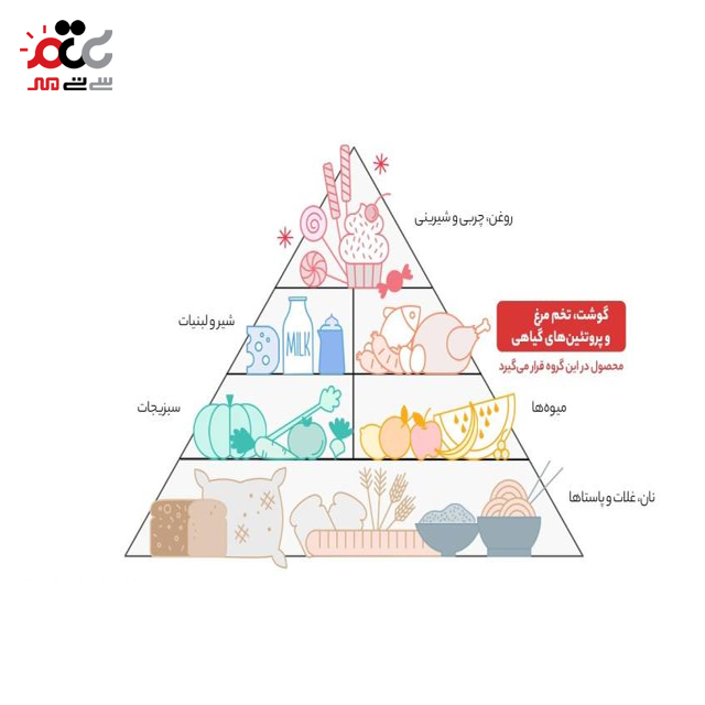 همبرگر 30 درصد گوشت قرمز 202 مقدار 500 گرمی 