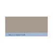 NCS S 1020-Y30R