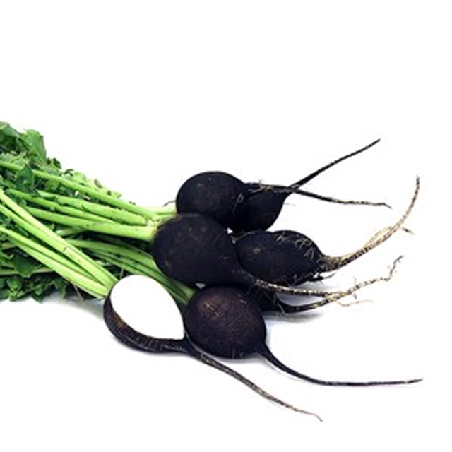 سبزی تربچه سیاه تازه درجه یک 1000 گرمی