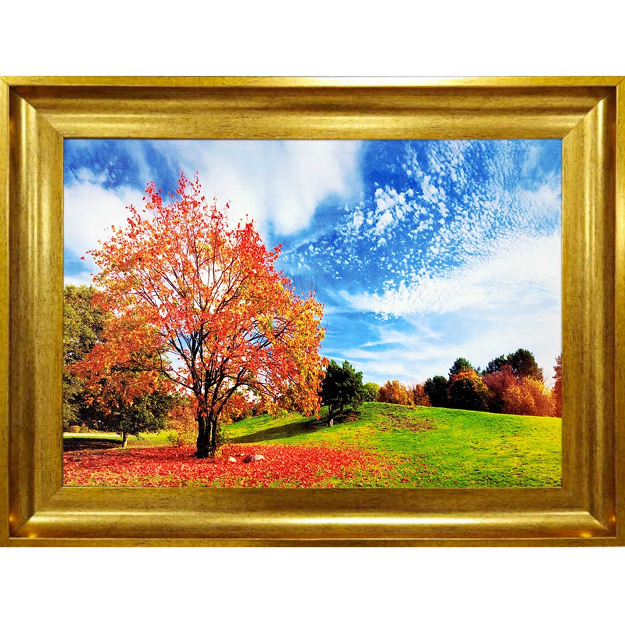 تابلو فرش با زیبا ترین قاب