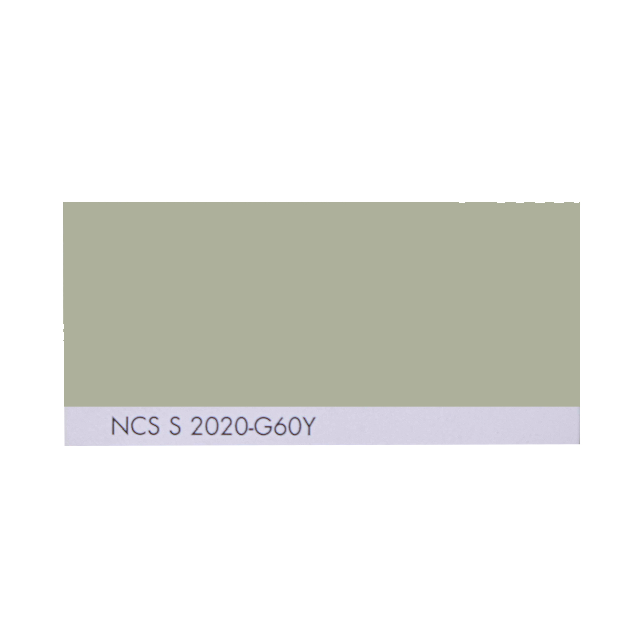 NCS S 2020-G60Y