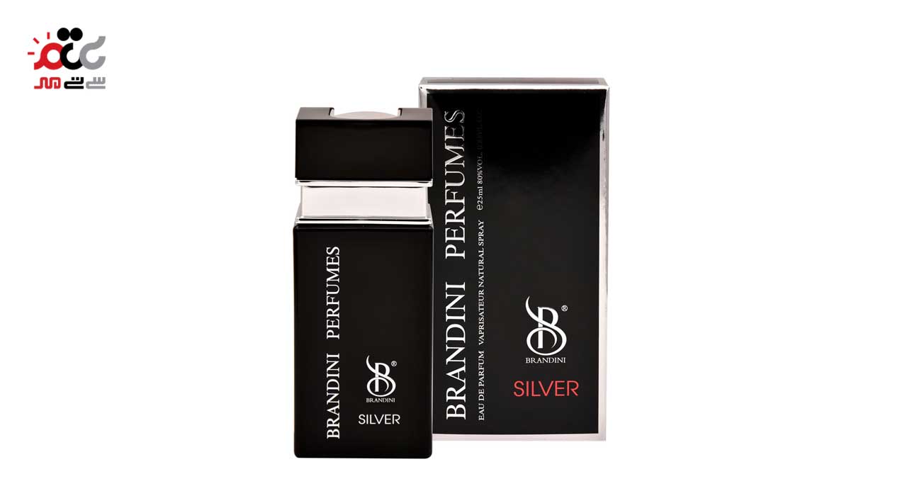 ادکلن مردانه برندینی مدل silver حجم 25 میلی لیتری