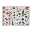 برچسب کودک آموزشی طرح ریشه.ساقه. گل سایز A4  کد 497