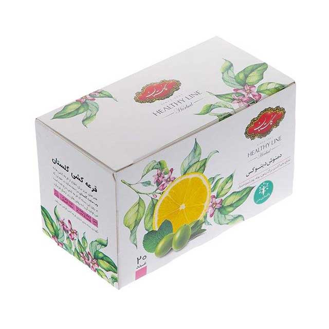 دمنوش دیتوکس گلستان بسته 20 عددی