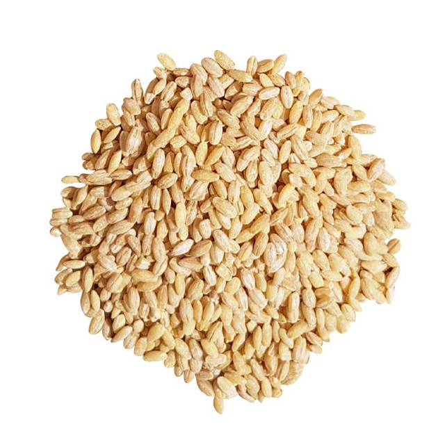 خرید جو پوست کنده سوپی فله ای 500 گرمی