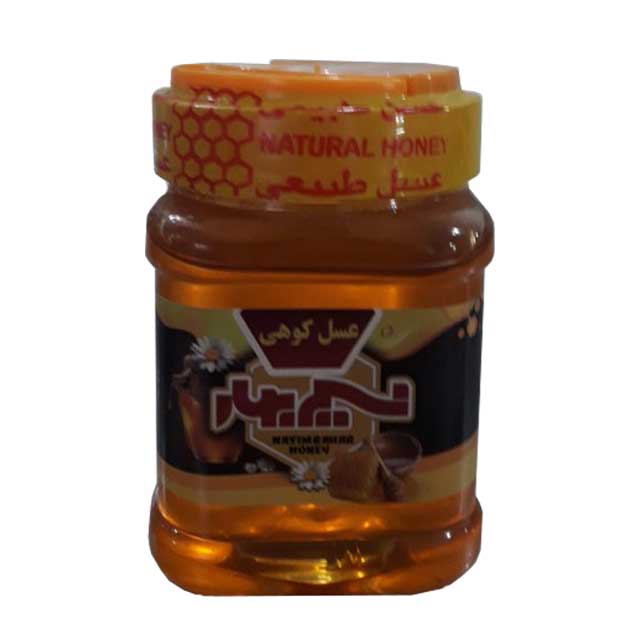 عسل کوهی نسیم بهار 500 گرمی