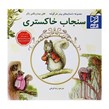 کتاب داستان پارسه سری سنجاب خاکستری