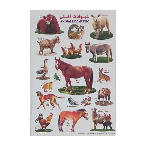 برچسب کودک آموزشی طرح حیوانات اهلی سایز A4 کد 46