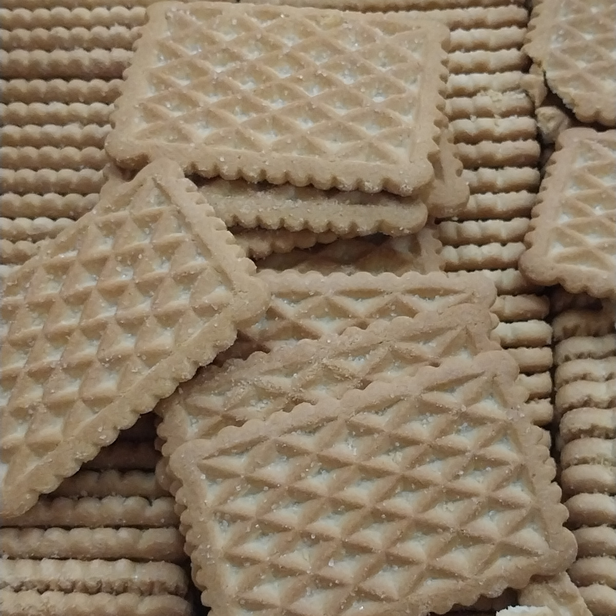 بیسکویت فله 1000 گرمی