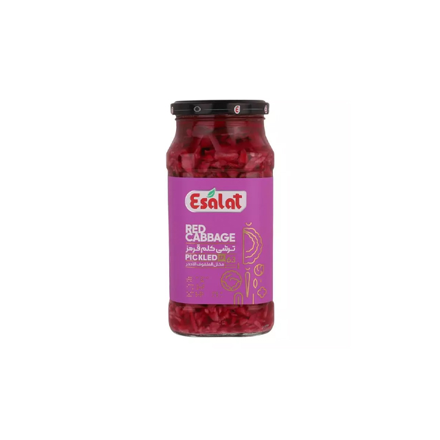 خرید ترشی کلم قرمز اصالت 570 گرمی