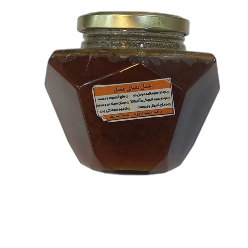 عسل نعنا 500 گرمی