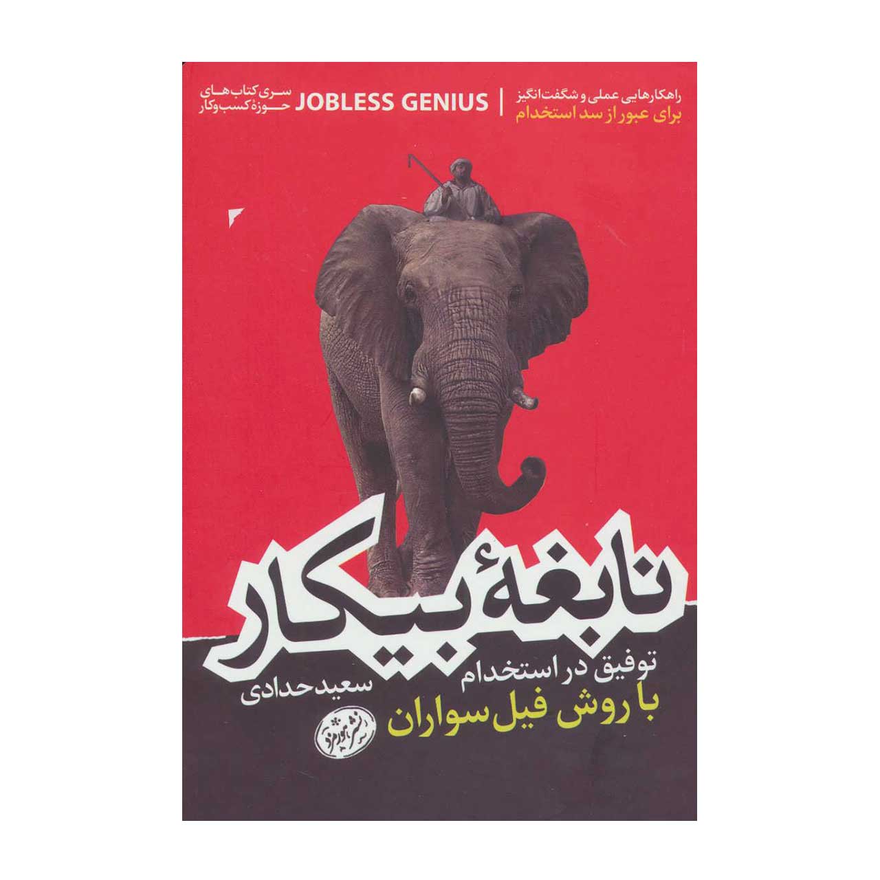 کتاب نابغه بیکار توفیق در استخدام با روش فیل سواران اثر سعید حدادی