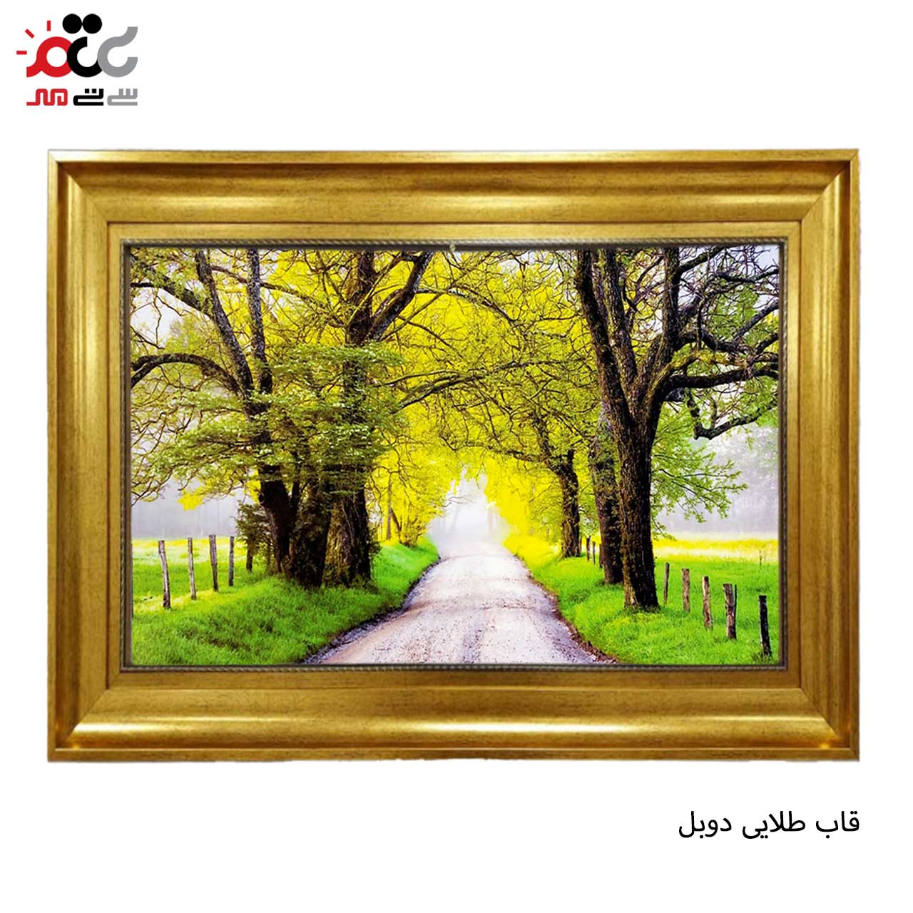 تابلو فرش طرح دار با بهترین قاب