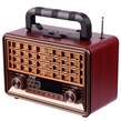رادیو اسپیکر بلوتوثی ان ان اس NS-2075BT