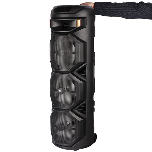 اسپیکر چمدانی بلوتوثی رم و فلش خور Sing-E ZQS8301 + میکروفون و ریموت کنترل