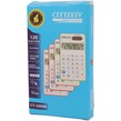 ماشین حساب سیتزیو Cittzeiv CT-3000II