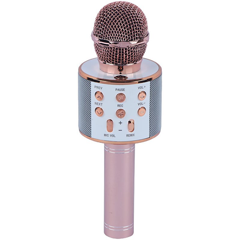 میکروفون اسپیکر گودفری WS-858