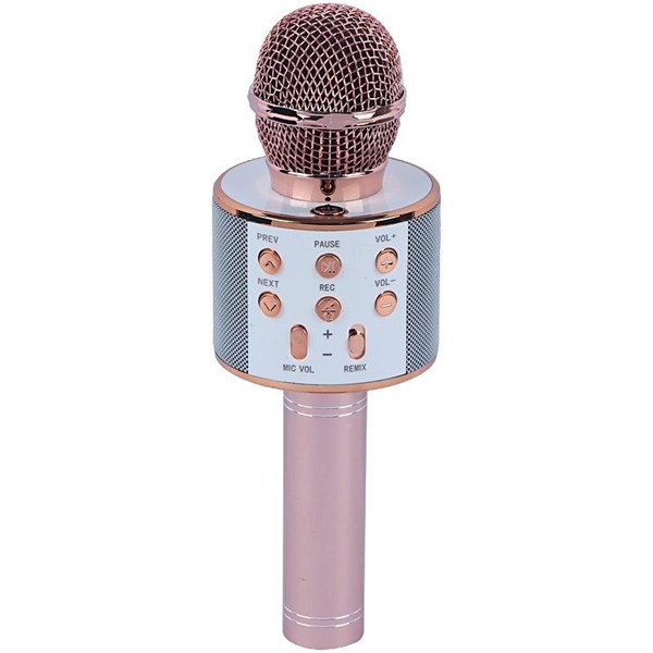 میکروفون اسپیکر گودفری WS-858