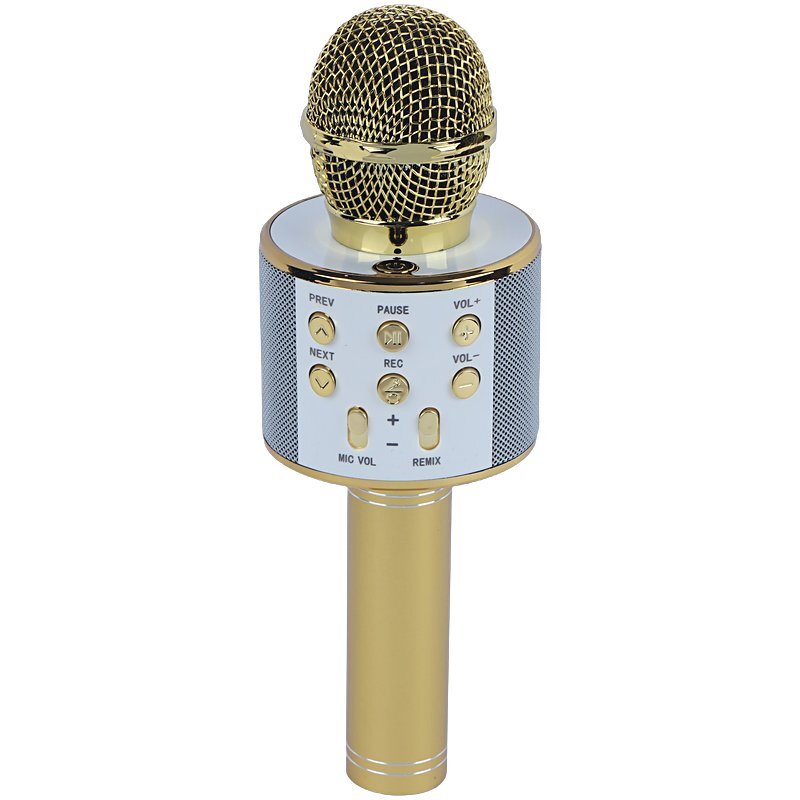 میکروفون اسپیکر گودفری WS-858