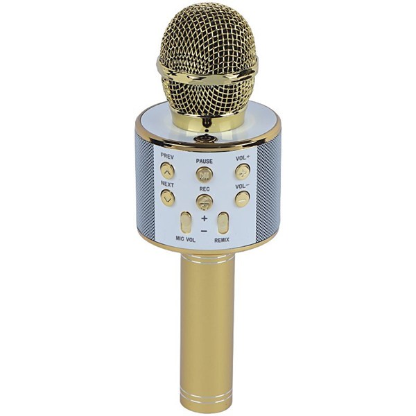 میکروفون اسپیکر گودفری WS-858