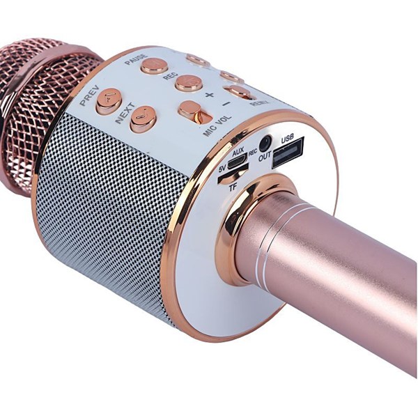 میکروفون اسپیکر گودفری WS-858