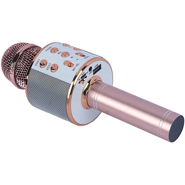 میکروفون اسپیکر گودفری WS-858