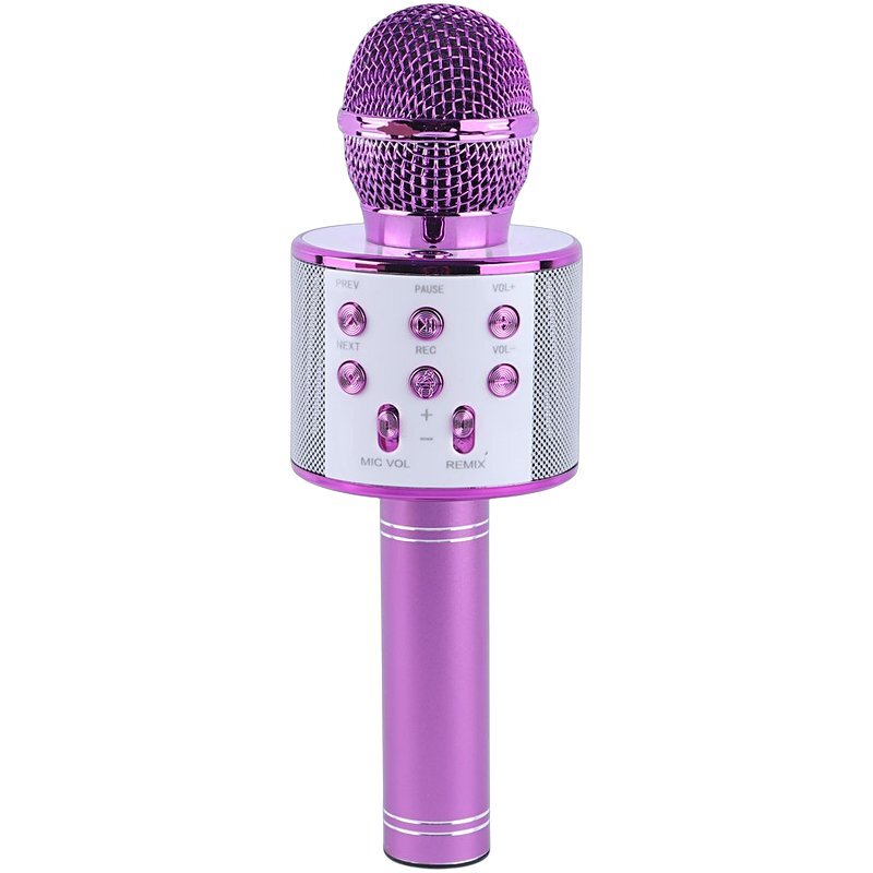 میکروفون اسپیکر گودفری WS-858