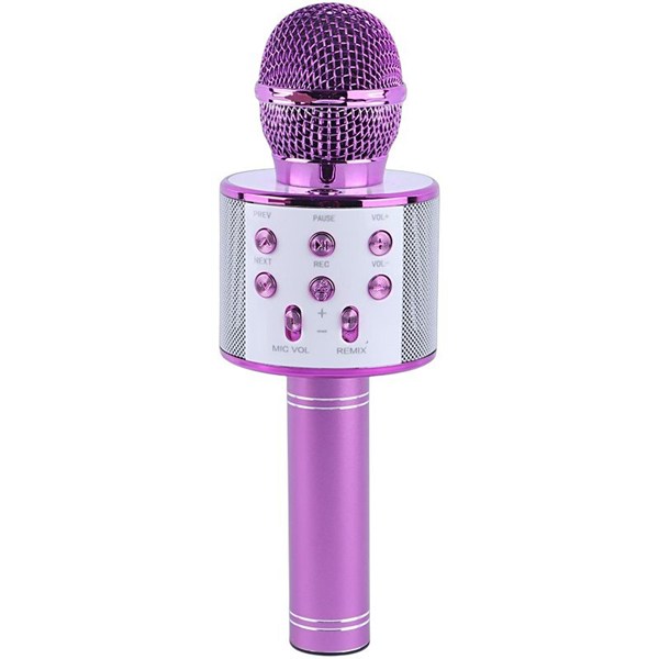 میکروفون اسپیکر گودفری WS-858