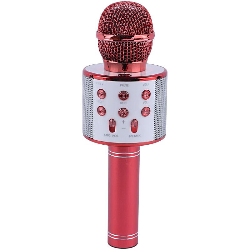 میکروفون اسپیکر گودفری WS-858