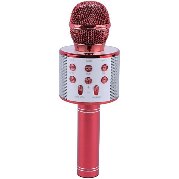 میکروفون اسپیکر گودفری WS-858