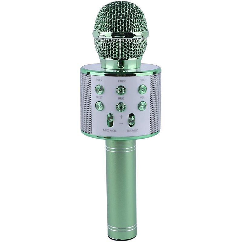 میکروفون اسپیکر گودفری WS-858