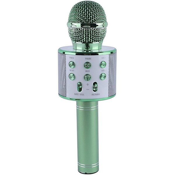 میکروفون اسپیکر گودفری WS-858